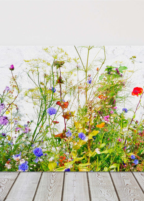 Wild flowers and grasses on white background, printed canvas picture print.
