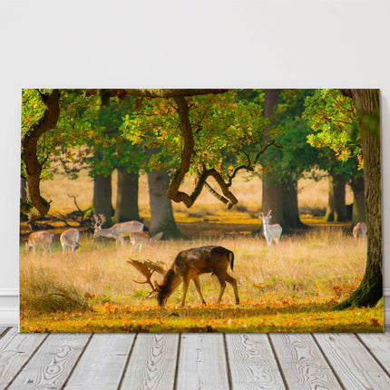 Deer, wildlife in the woodland canvas picture print landscape