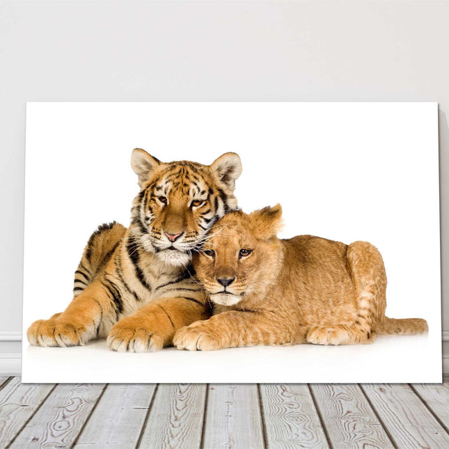 Tiger and Lion cub together on a white background. Big cats. Canvas picture.