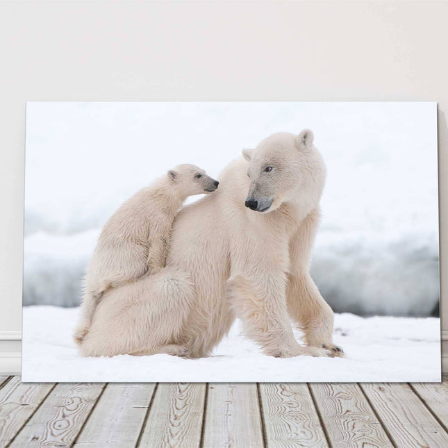 Polar Bears in the snow. Printed and framed as a canvas picture print.