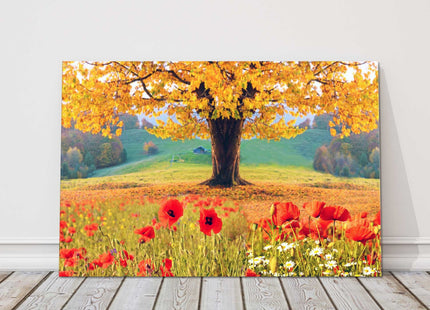 Wild flowers and trees, seasonal colours. Canvas Picture Print.