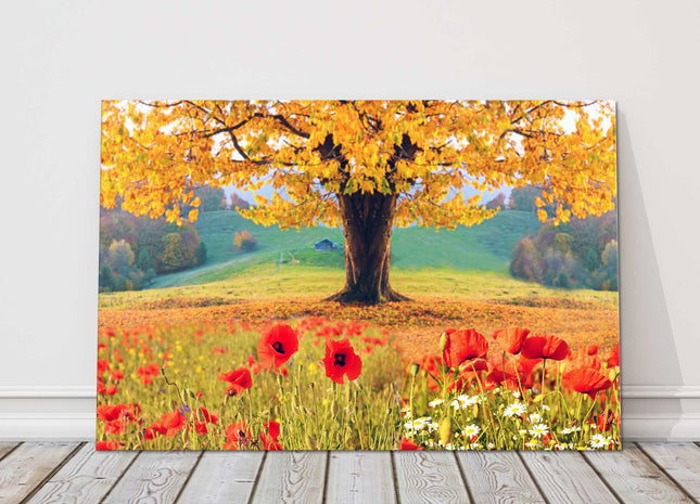 Wild flowers and trees, seasonal colours. Canvas Picture Print.