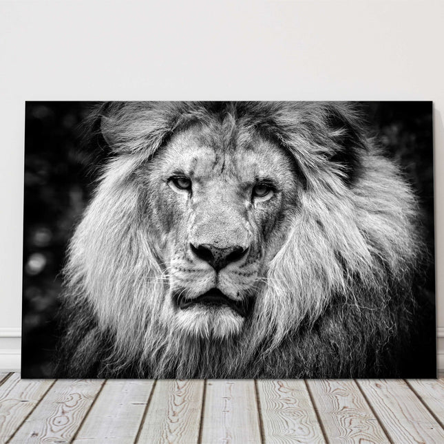 lion in black and white stunning canvas picture print landscape