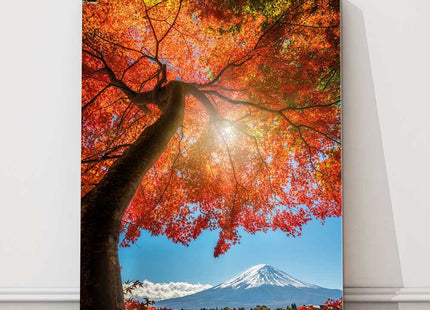 Autumn tree overlooking Mount Fuji in the background. Picture printed and framed as a canvas picture print.