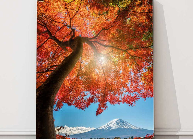 Autumn tree overlooking Mount Fuji in the background. Picture printed and framed as a canvas picture print.