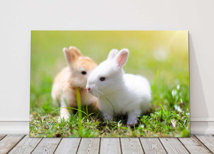 Baby rabbits in the garden. Cute animals. Printed as a canvas picture.
