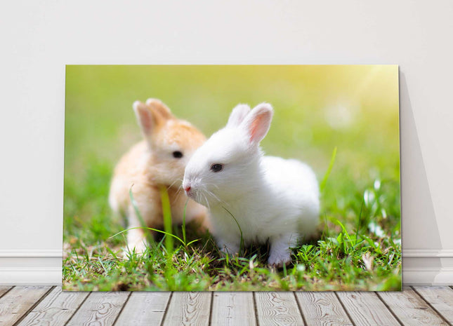 Baby rabbits in the garden. Cute animals. Printed as a canvas picture.