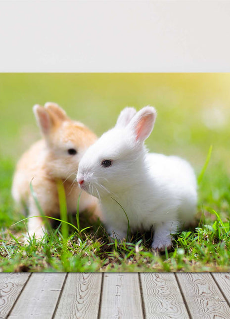 Baby rabbits in the garden. Cute animals. Printed as a canvas picture.