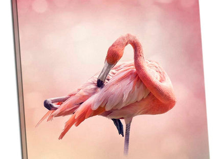 Pink flamingos square canvas picture print