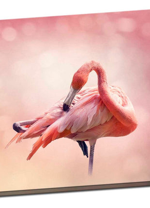 Pink flamingos square canvas picture print
