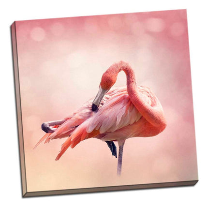 Pink flamingos square canvas picture print