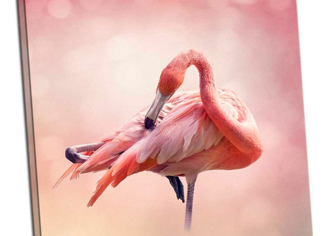 Pink flamingos square canvas picture print