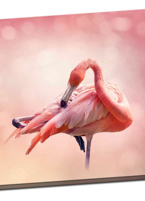 Pink flamingos square canvas picture print