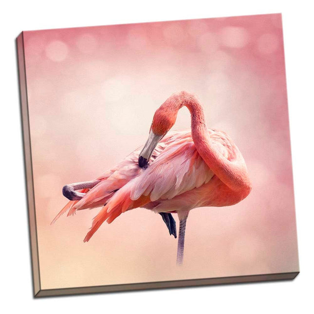 Pink flamingos square canvas picture print