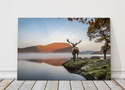 Red Deer stag looking over lake and mountain landscape. Printed canvas picture