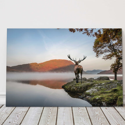 Red Deer stag looking over lake and mountain landscape. Printed canvas picture