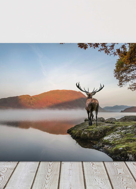 Red Deer stag looking over lake and mountain landscape. Printed canvas picture