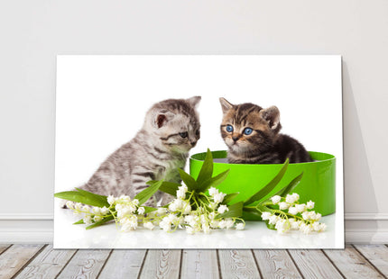Two blue eyed tabby kittens. Cute image Playful kittens. Canvas picture print