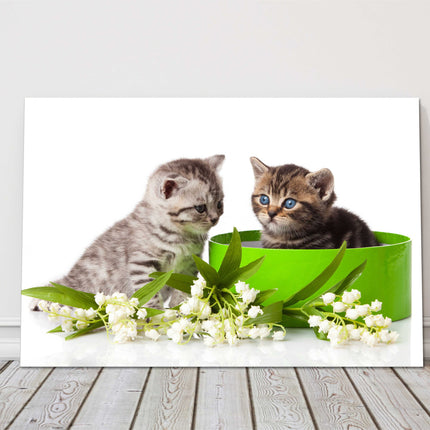 Two blue eyed tabby kittens. Cute image Playful kittens. Canvas picture print