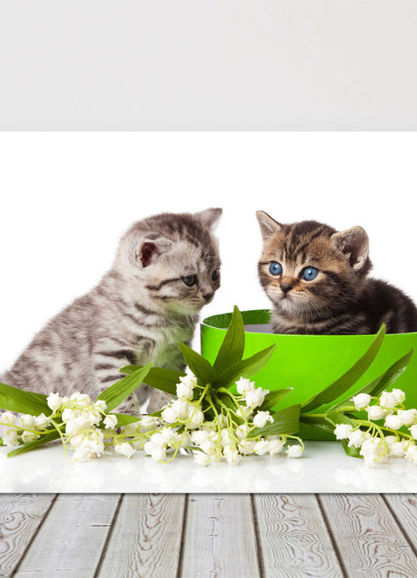 Two blue eyed tabby kittens. Cute image Playful kittens. Canvas picture print