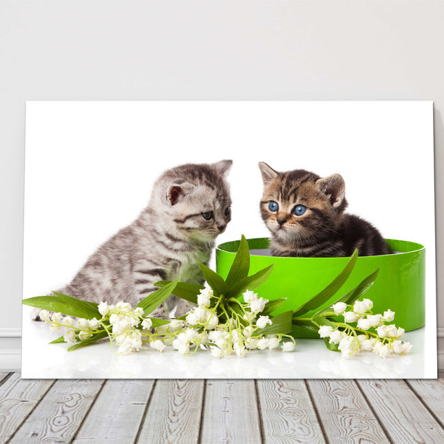 Two blue eyed tabby kittens. Cute image Playful kittens. Canvas picture print