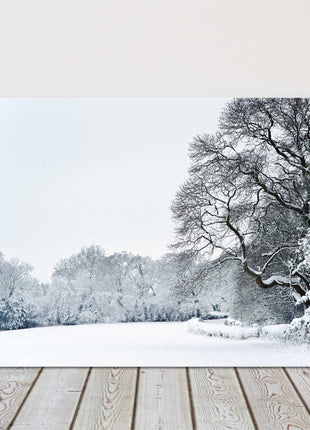 winter snow scene cnavas picture print lovely treees