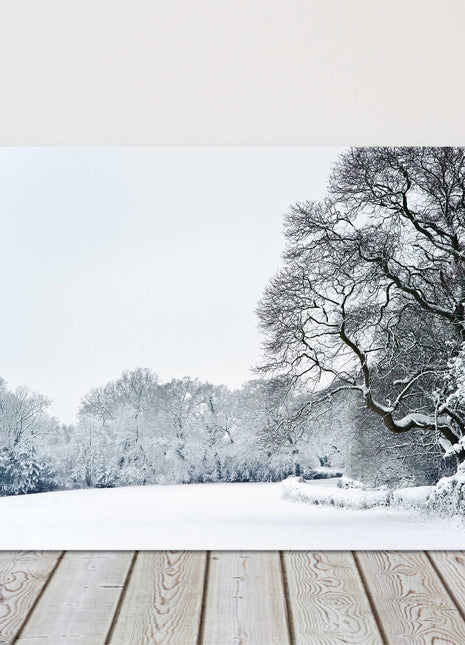 winter snow scene cnavas picture print lovely treees