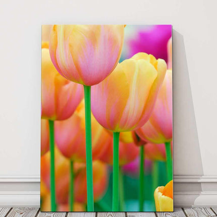 Spring Tulips. Bright flowers close up. Printed and framed as a canvas picture