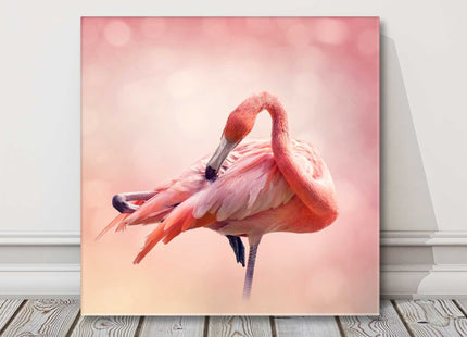 Pink flamingos square canvas picture print