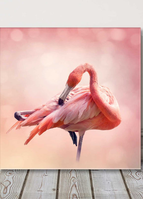 Pink flamingos square canvas picture print