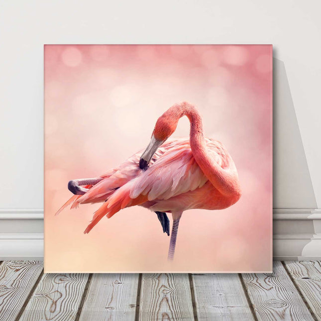 Pink flamingos square canvas picture print