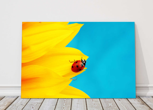 bright and vibrant ladybird picture canvas picture print