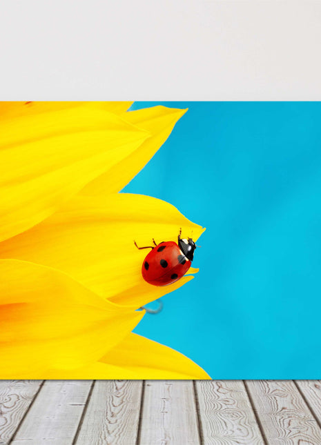 bright and vibrant ladybird picture canvas picture print