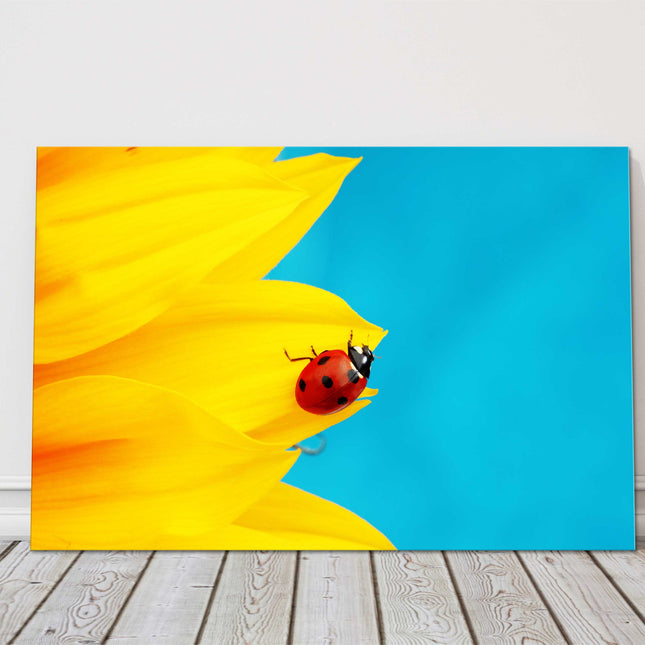 bright and vibrant ladybird picture canvas picture print