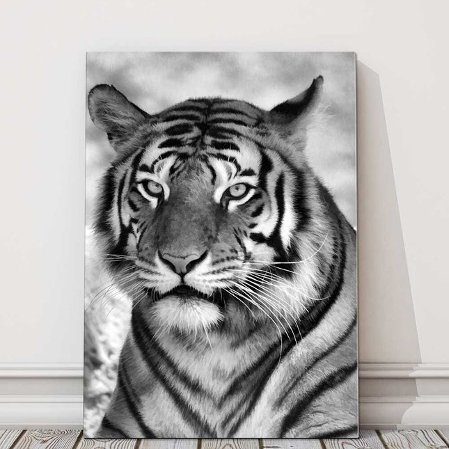 Tiger black and white portrait view big cat. Canvas picture print