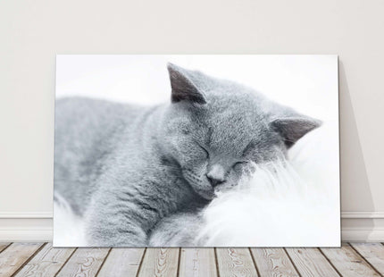sleeping cat grey and white canvas picture print landscape cute