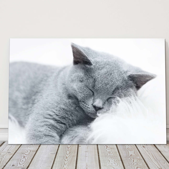 sleeping cat grey and white canvas picture print landscape cute
