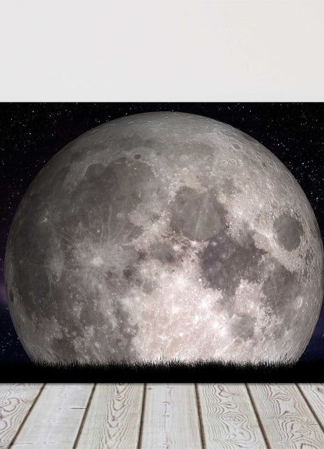 Full moon at night. Canvas Picture Print.