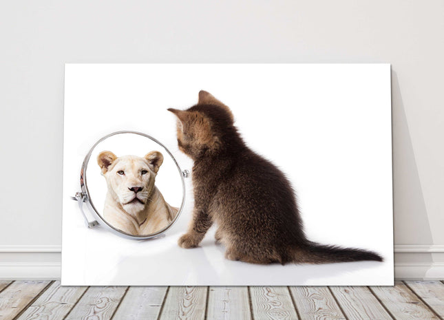 kitten posing in a mirror thinking big with reflection canvas picture print