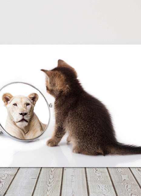 kitten posing in a mirror thinking big with reflection canvas picture print