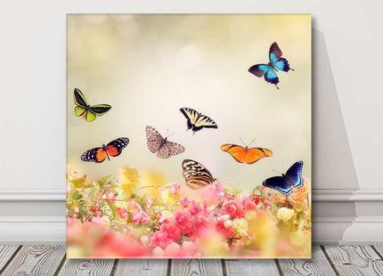 Butterflies and flowers, colourful canvas picture print. Bright wall art.