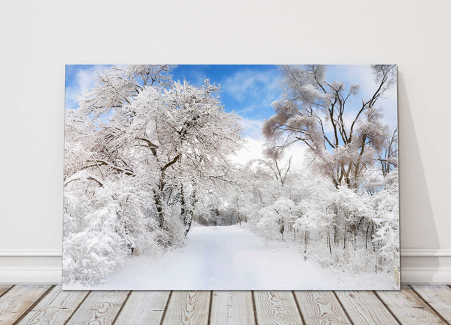 Snowy winter landscape stunning picture, canvas picture print.