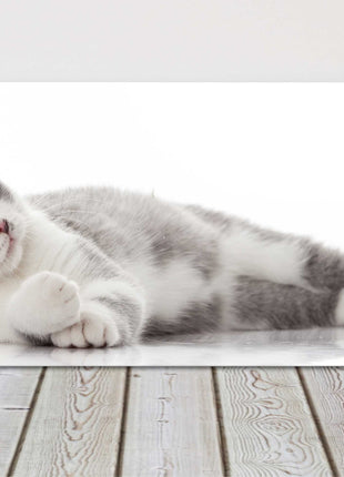 beautiful cat canvas picture print grey and white landscape