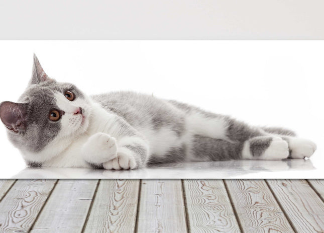 beautiful cat canvas picture print grey and white landscape