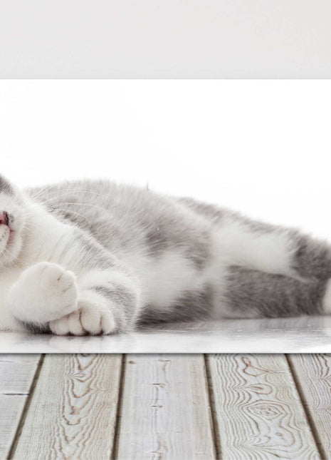 beautiful cat canvas picture print grey and white landscape