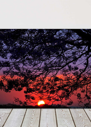 Sunset through the trees. Canvas Picture Print.