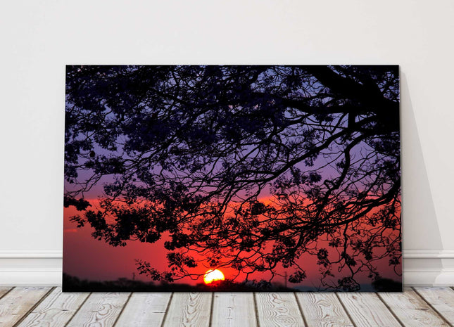 Sunset through the trees. Canvas Picture Print.