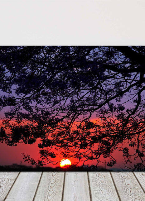 Sunset through the trees. Canvas Picture Print.