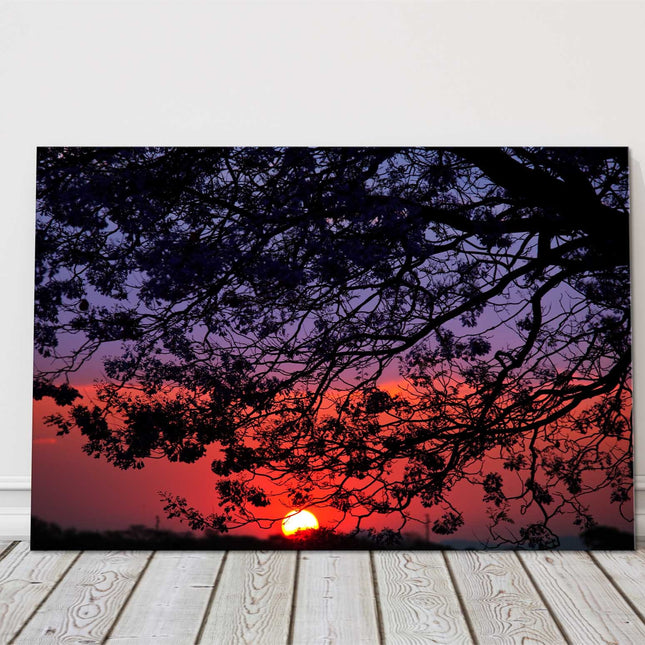 Sunset through the trees. Canvas Picture Print.