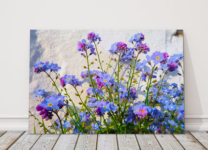 Forget me Nots wild flowers purple and green canvas picture print forgetmeknots